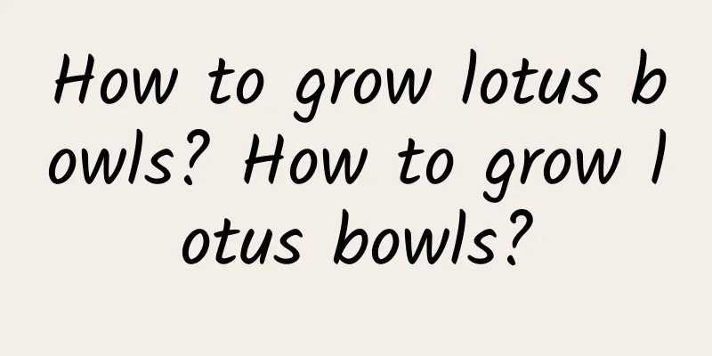 How to grow lotus bowls? How to grow lotus bowls?