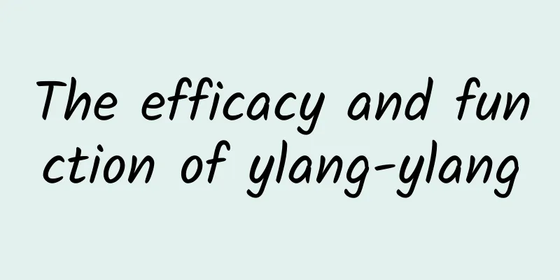 The efficacy and function of ylang-ylang