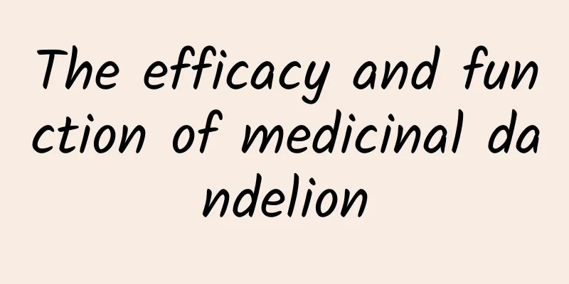 The efficacy and function of medicinal dandelion