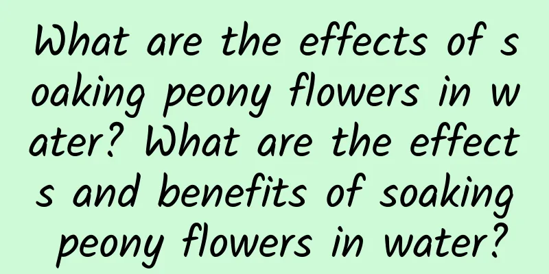 What are the effects of soaking peony flowers in water? What are the effects and benefits of soaking peony flowers in water?