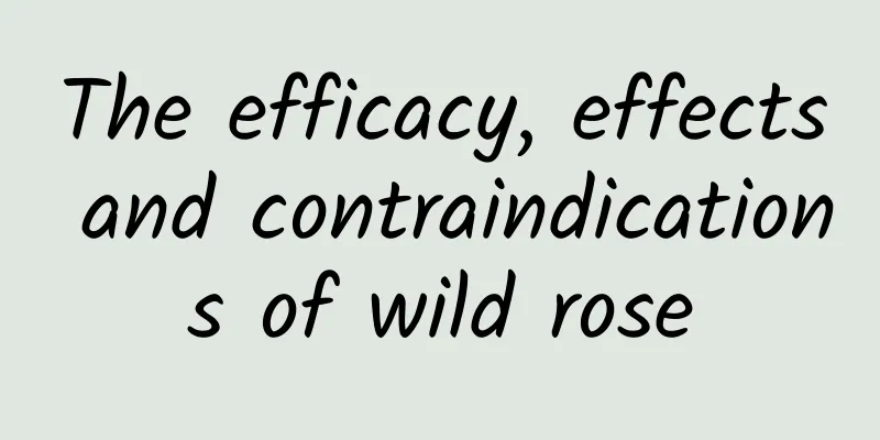 The efficacy, effects and contraindications of wild rose