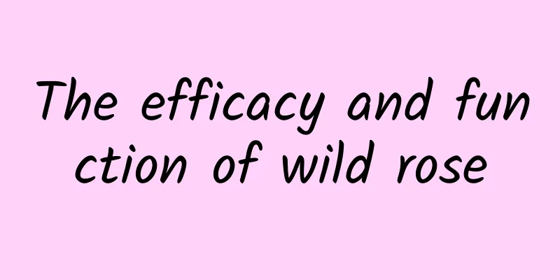 The efficacy and function of wild rose