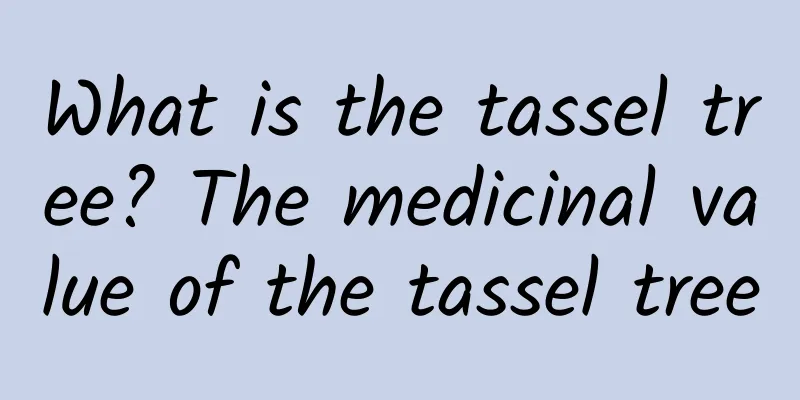 What is the tassel tree? The medicinal value of the tassel tree