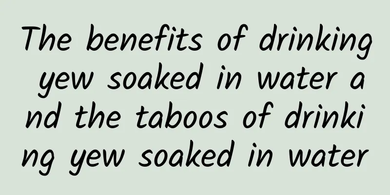 The benefits of drinking yew soaked in water and the taboos of drinking yew soaked in water