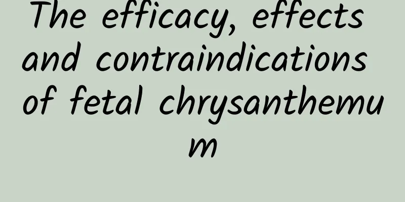 The efficacy, effects and contraindications of fetal chrysanthemum