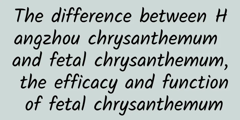 The difference between Hangzhou chrysanthemum and fetal chrysanthemum, the efficacy and function of fetal chrysanthemum