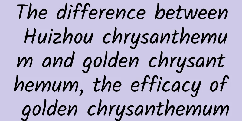 The difference between Huizhou chrysanthemum and golden chrysanthemum, the efficacy of golden chrysanthemum