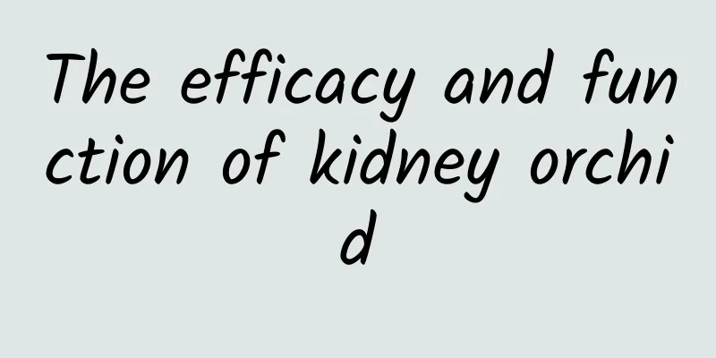 The efficacy and function of kidney orchid