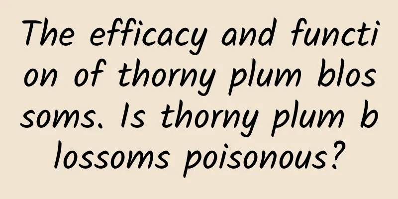 The efficacy and function of thorny plum blossoms. Is thorny plum blossoms poisonous?