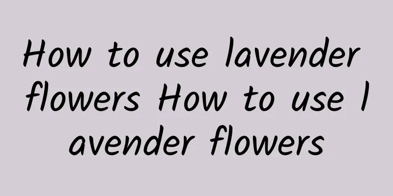 How to use lavender flowers How to use lavender flowers