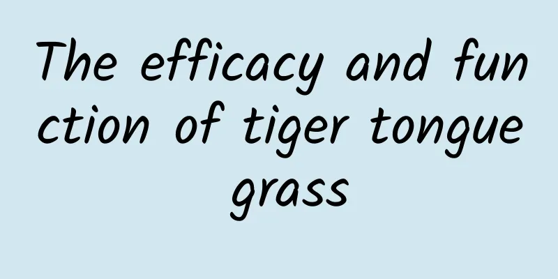 The efficacy and function of tiger tongue grass