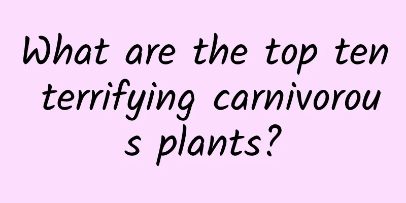 What are the top ten terrifying carnivorous plants?