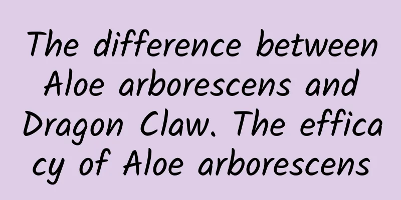 The difference between Aloe arborescens and Dragon Claw. The efficacy of Aloe arborescens