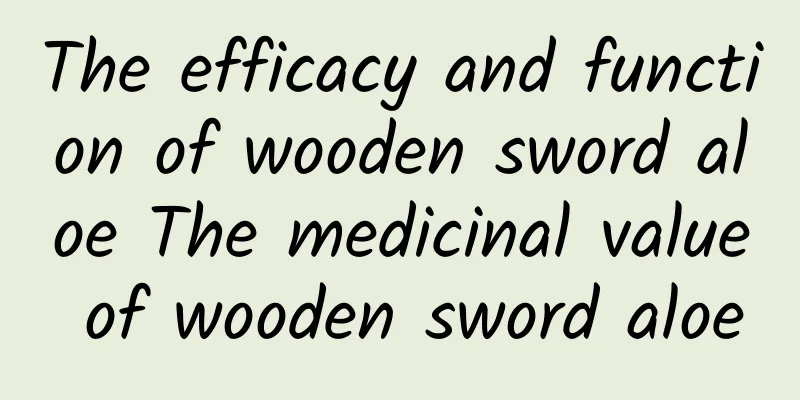 The efficacy and function of wooden sword aloe The medicinal value of wooden sword aloe