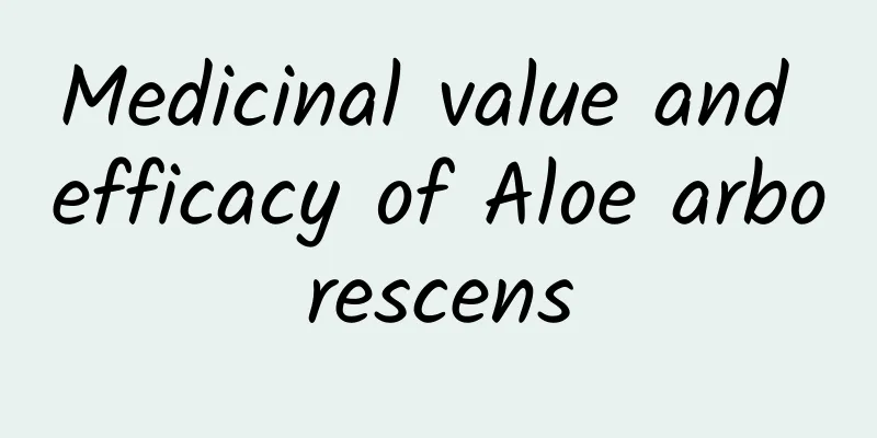 Medicinal value and efficacy of Aloe arborescens