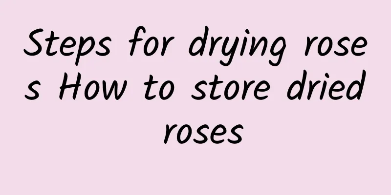 Steps for drying roses How to store dried roses