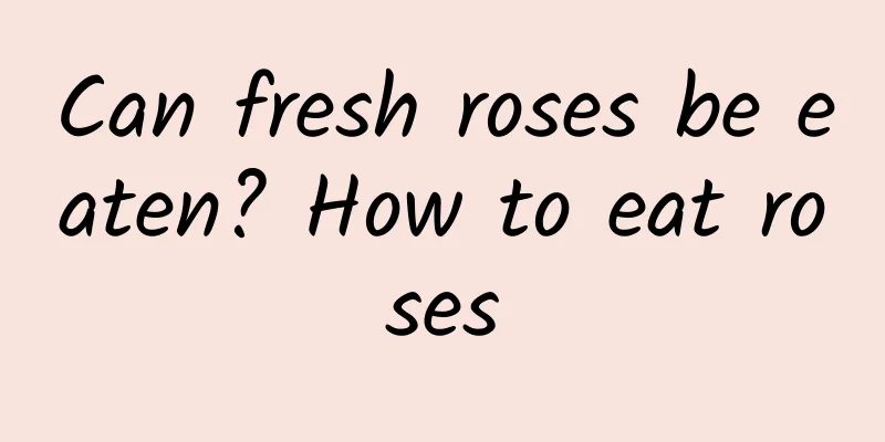 Can fresh roses be eaten? How to eat roses