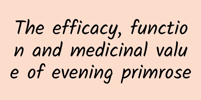 The efficacy, function and medicinal value of evening primrose