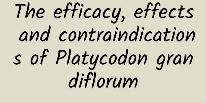 The efficacy, effects and contraindications of Platycodon grandiflorum