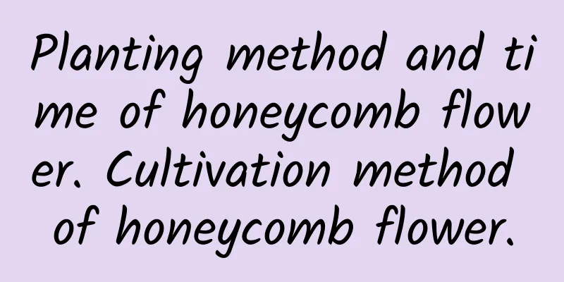 Planting method and time of honeycomb flower. Cultivation method of honeycomb flower.