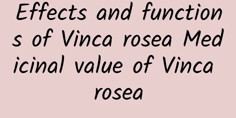 Effects and functions of Vinca rosea Medicinal value of Vinca rosea