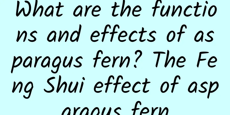 What are the functions and effects of asparagus fern? The Feng Shui effect of asparagus fern