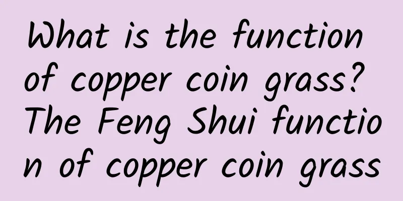 What is the function of copper coin grass? The Feng Shui function of copper coin grass