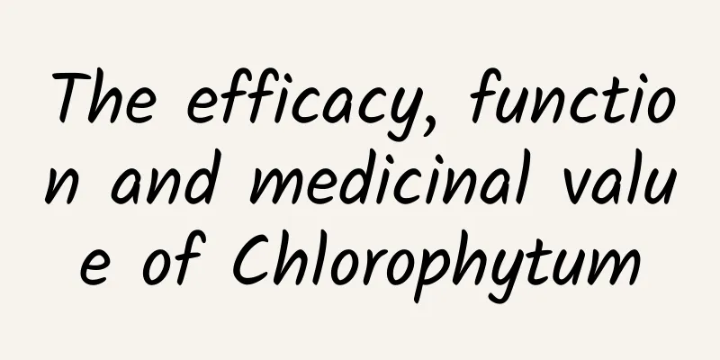 The efficacy, function and medicinal value of Chlorophytum