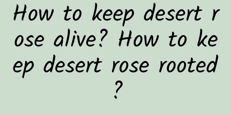 How to keep desert rose alive? How to keep desert rose rooted?