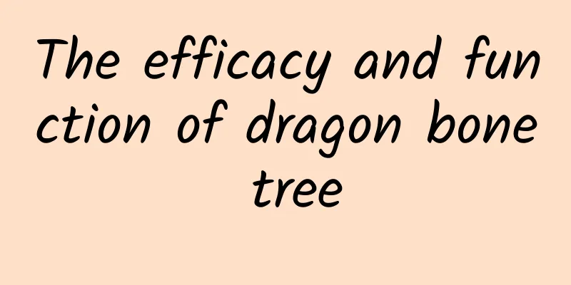 The efficacy and function of dragon bone tree