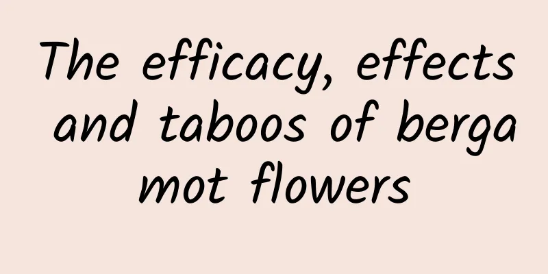 The efficacy, effects and taboos of bergamot flowers