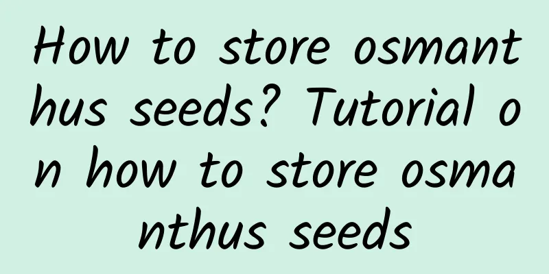 How to store osmanthus seeds? Tutorial on how to store osmanthus seeds