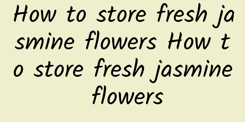 How to store fresh jasmine flowers How to store fresh jasmine flowers