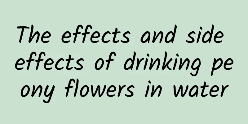 The effects and side effects of drinking peony flowers in water