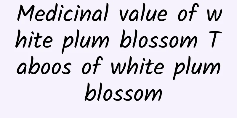 Medicinal value of white plum blossom Taboos of white plum blossom