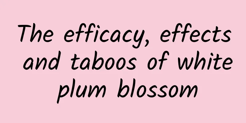 The efficacy, effects and taboos of white plum blossom