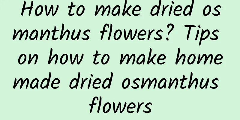 How to make dried osmanthus flowers? Tips on how to make homemade dried osmanthus flowers