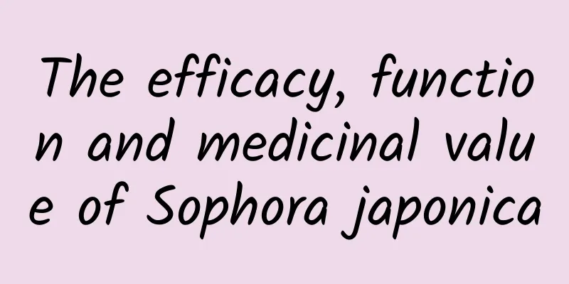 The efficacy, function and medicinal value of Sophora japonica