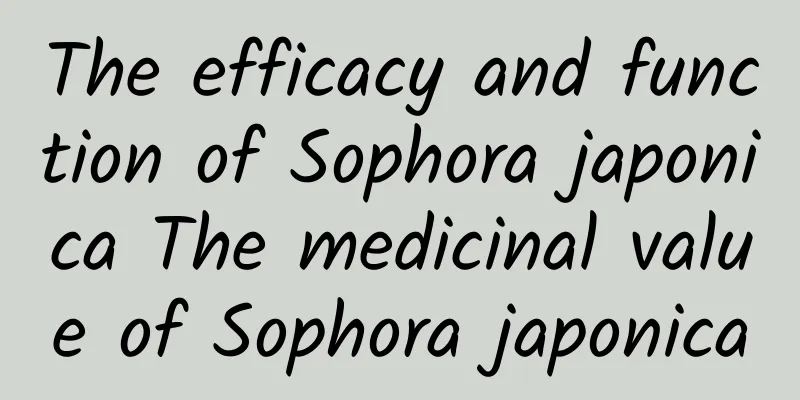 The efficacy and function of Sophora japonica The medicinal value of Sophora japonica