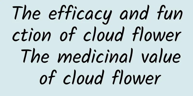 The efficacy and function of cloud flower The medicinal value of cloud flower