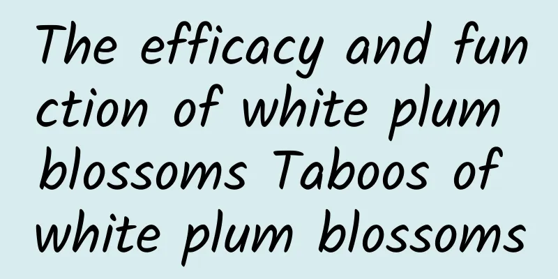 The efficacy and function of white plum blossoms Taboos of white plum blossoms