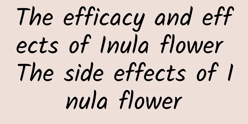 The efficacy and effects of Inula flower The side effects of Inula flower