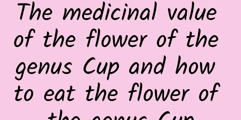 The medicinal value of the flower of the genus Cup and how to eat the flower of the genus Cup