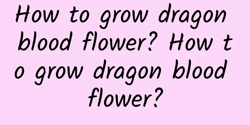 How to grow dragon blood flower? How to grow dragon blood flower?