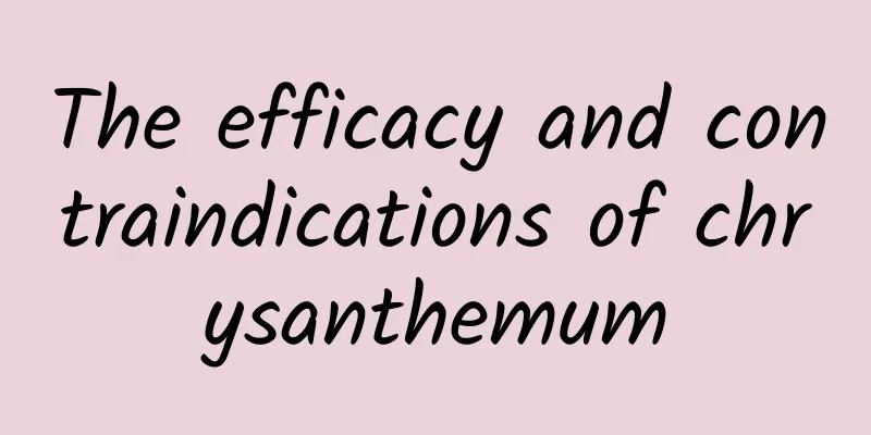 The efficacy and contraindications of chrysanthemum