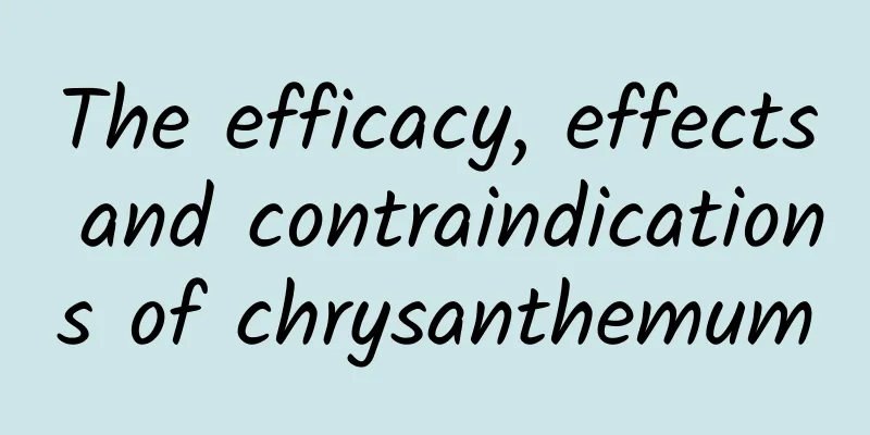 The efficacy, effects and contraindications of chrysanthemum