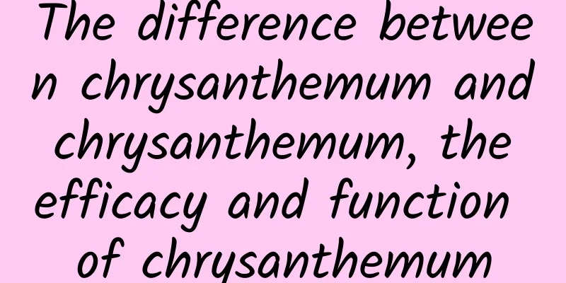 The difference between chrysanthemum and chrysanthemum, the efficacy and function of chrysanthemum