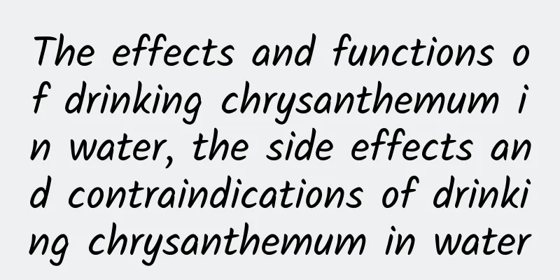 The effects and functions of drinking chrysanthemum in water, the side effects and contraindications of drinking chrysanthemum in water