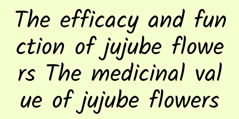 The efficacy and function of jujube flowers The medicinal value of jujube flowers