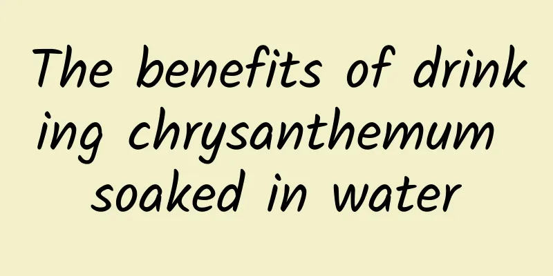 The benefits of drinking chrysanthemum soaked in water